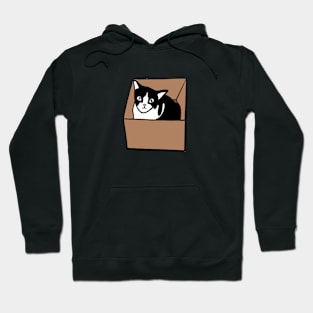 Cat in box Hoodie